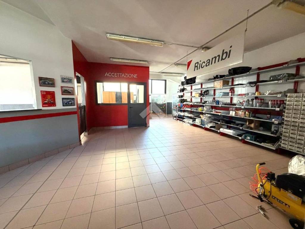 immagine annuncio 4 di 15