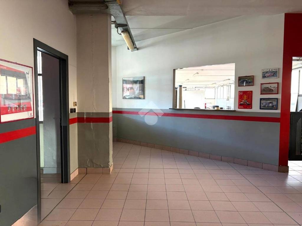 immagine annuncio 6 di 15