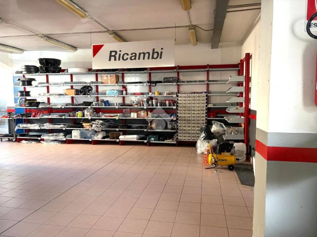 immagine annuncio 7 di 15