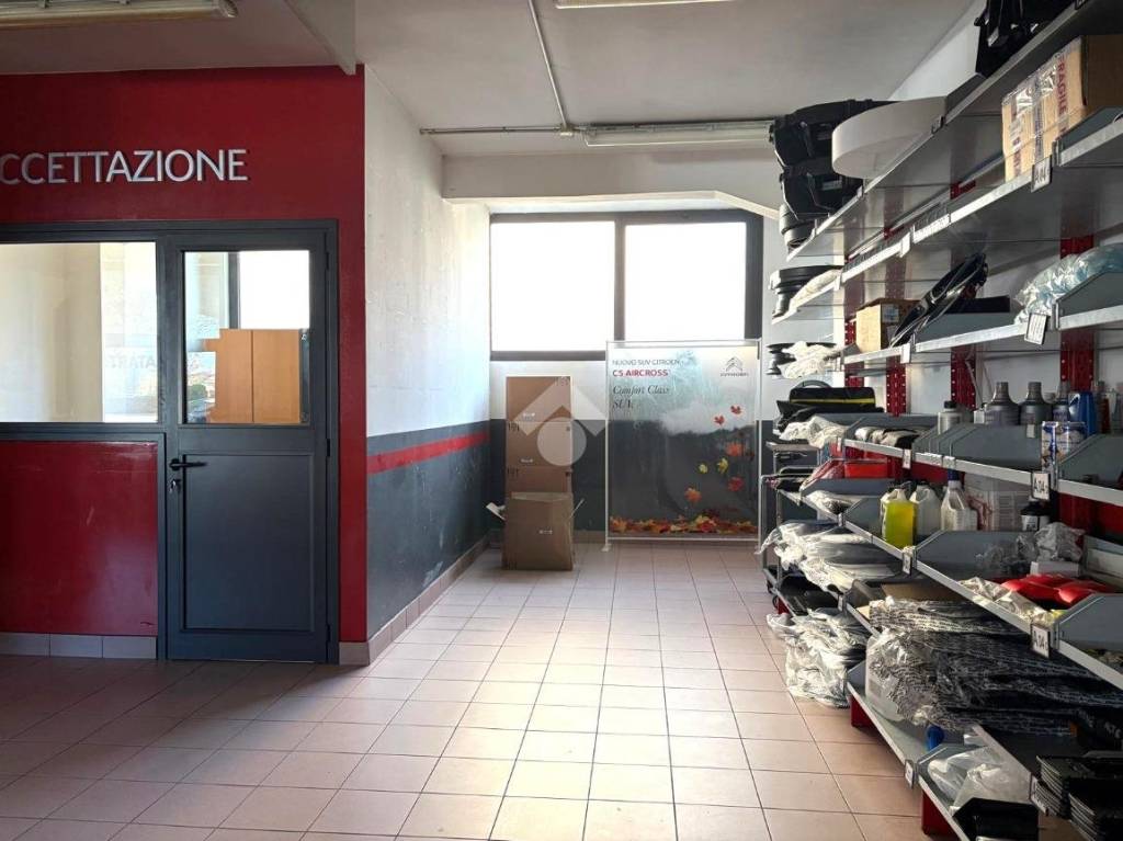 immagine annuncio 8 di 15