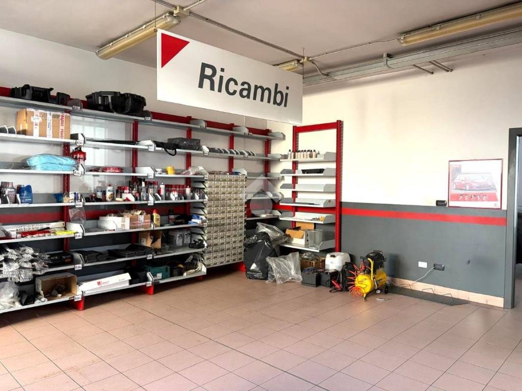 immagine annuncio 9 di 15