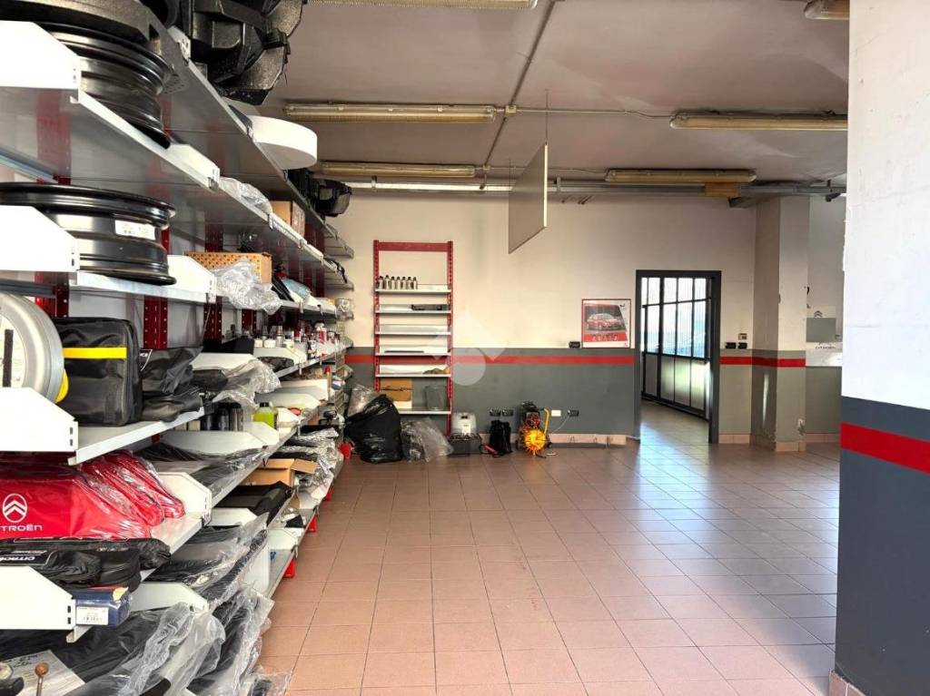 immagine annuncio 10 di 15