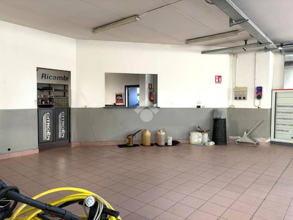 immagine annuncio 12 di 15