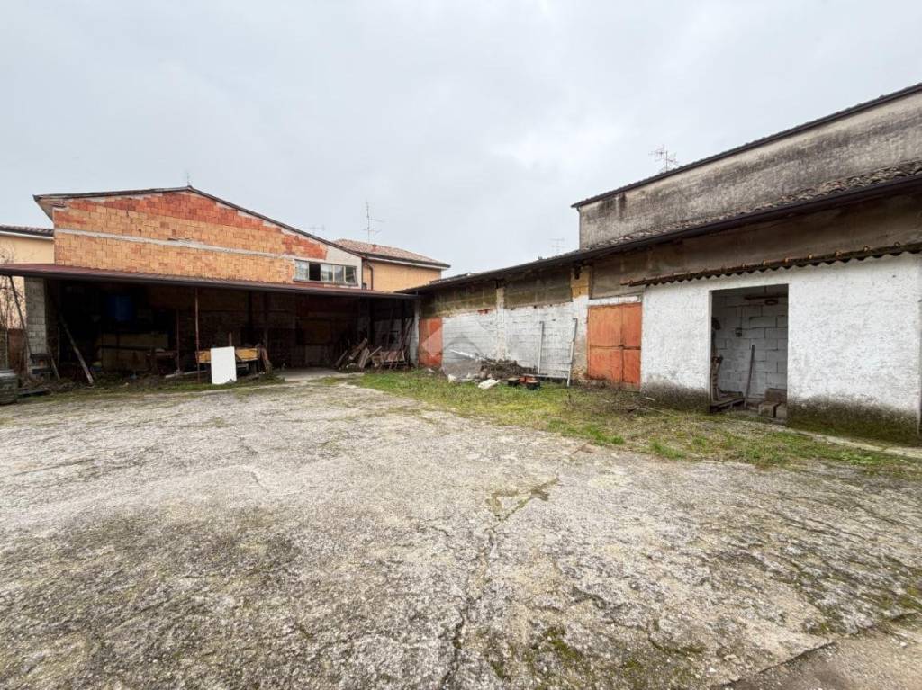 immagine annuncio 11 di 15