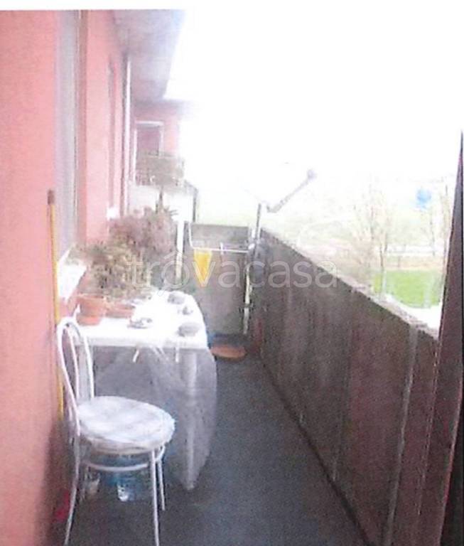 immagine annuncio 2 di 12