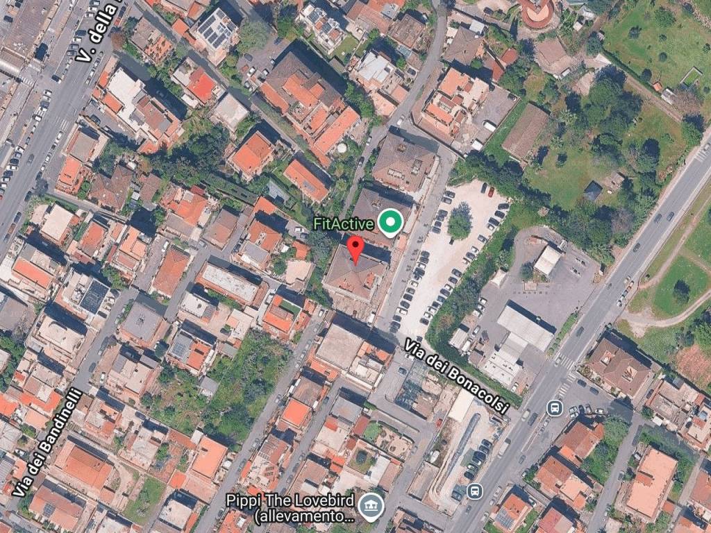 immagine annuncio 11 di 13