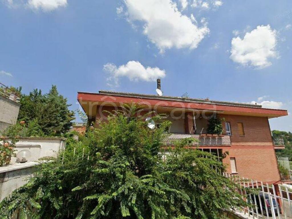 immagine annuncio 12 di 13