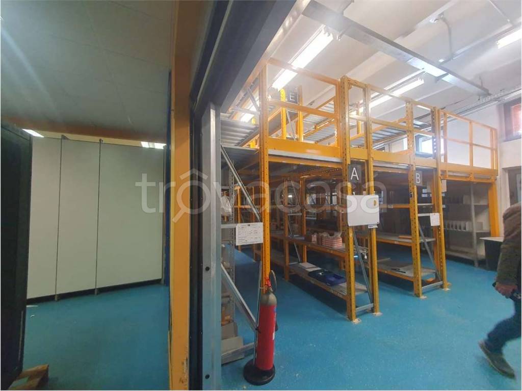 immagine annuncio 10 di 15