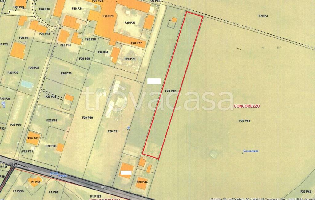 immagine annuncio 3 di 5