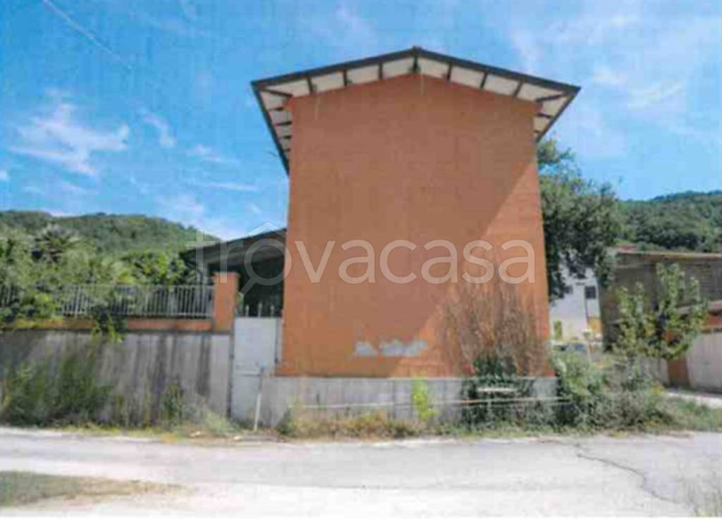 immagine annuncio 6 di 11