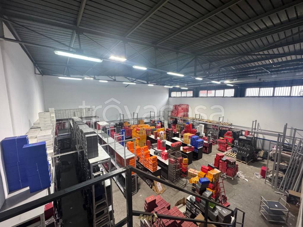 immagine annuncio 5 di 15