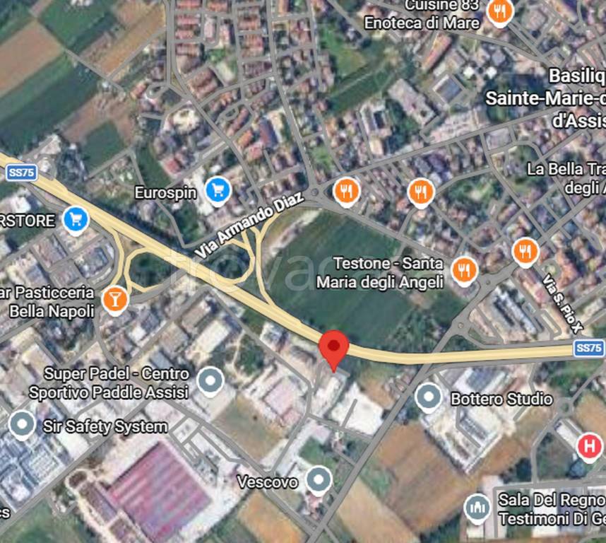 immagine annuncio 1 di 11