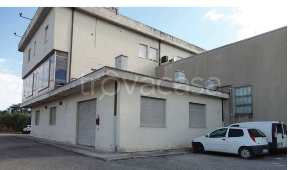 immagine annuncio 3 di 11