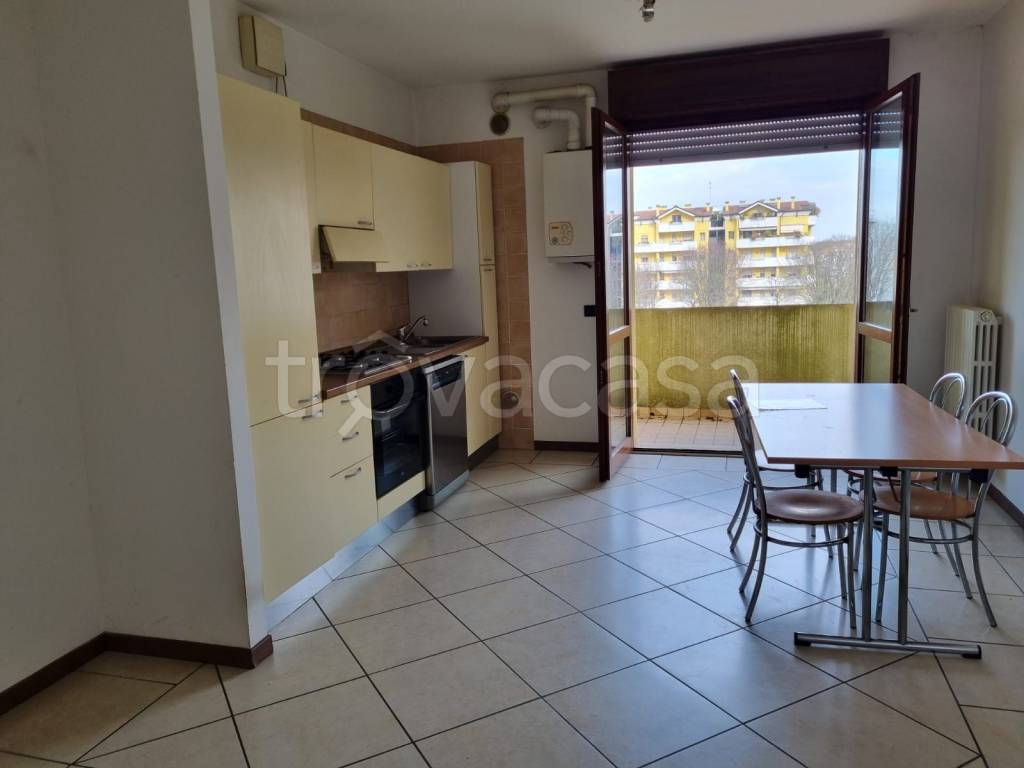 immagine annuncio 3 di 14