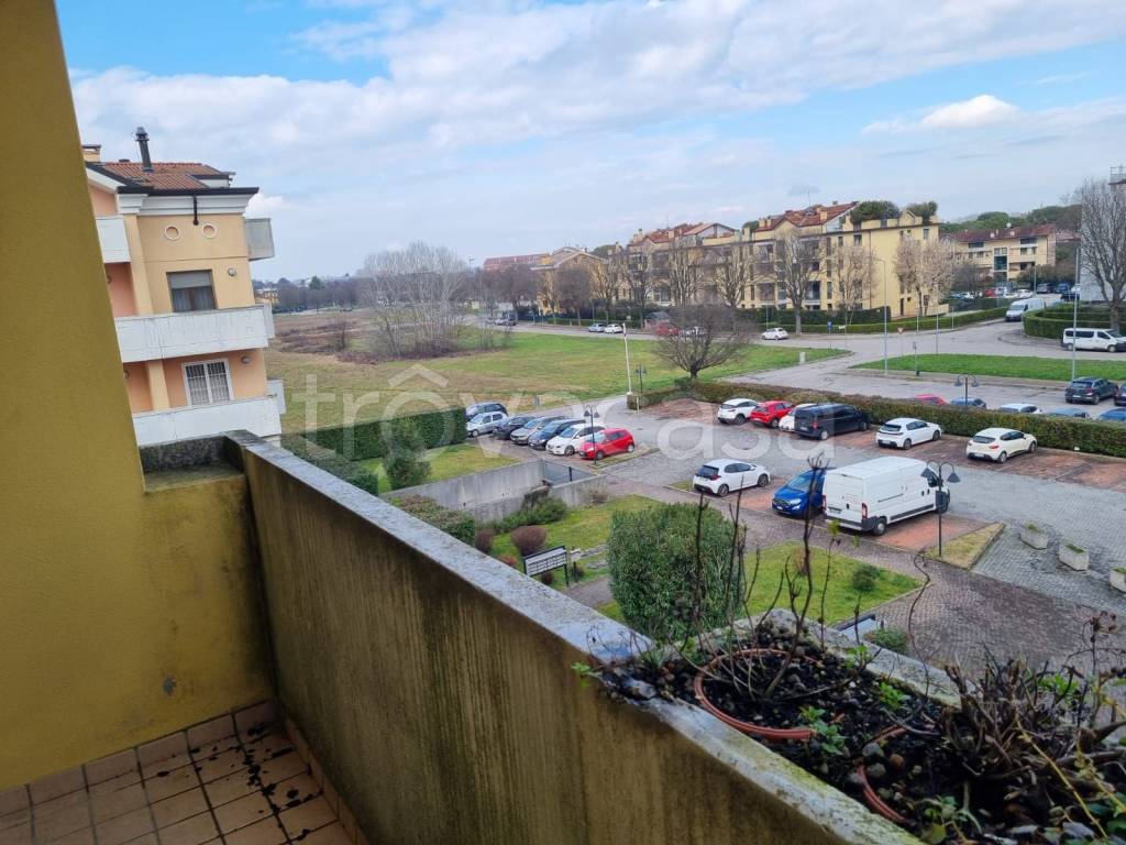 immagine annuncio 10 di 14