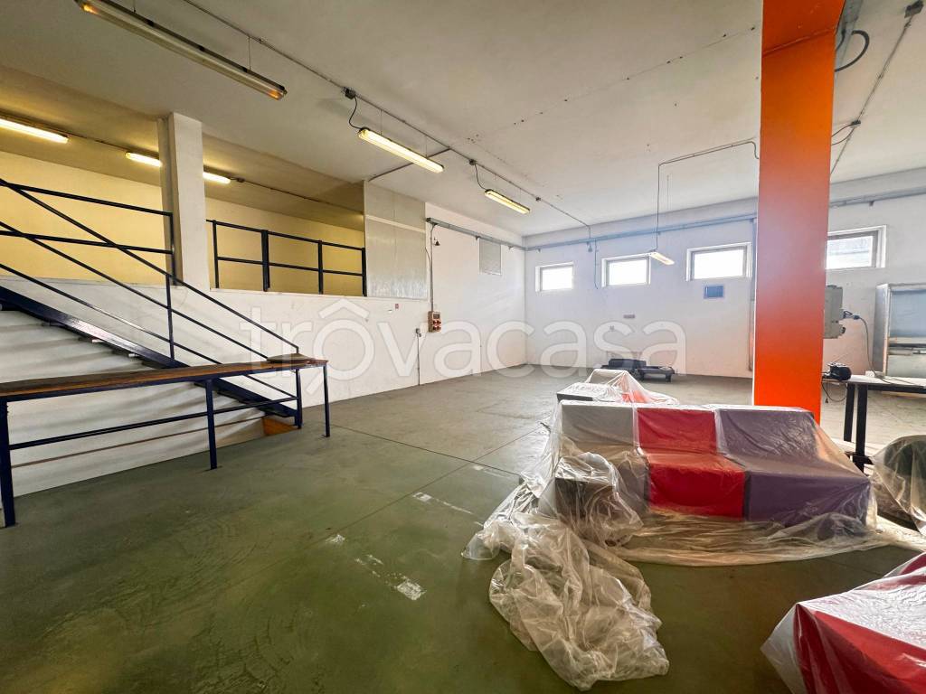 immagine annuncio 6 di 15