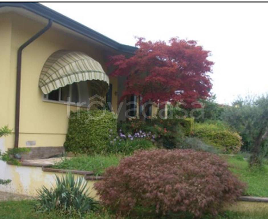 immagine annuncio 4 di 14