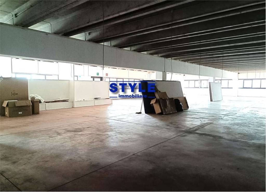 immagine annuncio 1 di 14