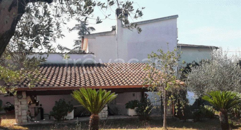 immagine annuncio 4 di 9