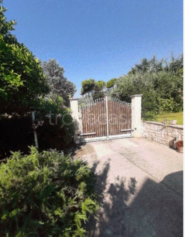 immagine annuncio 6 di 9