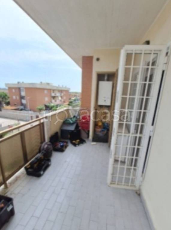 immagine annuncio 4 di 11