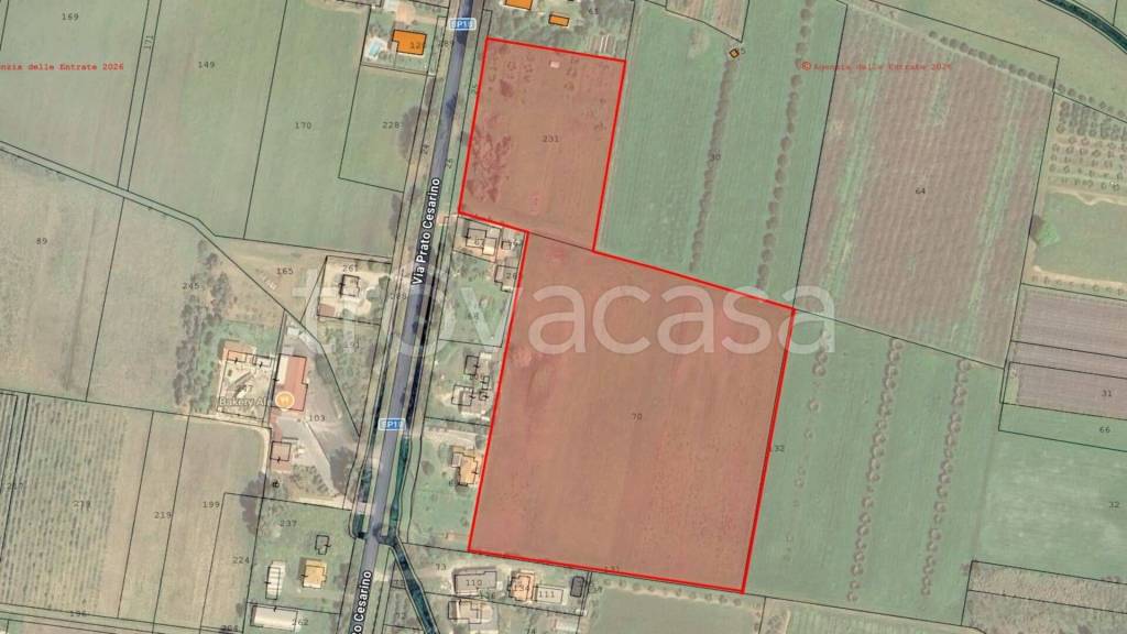 immagine annuncio 4 di 7