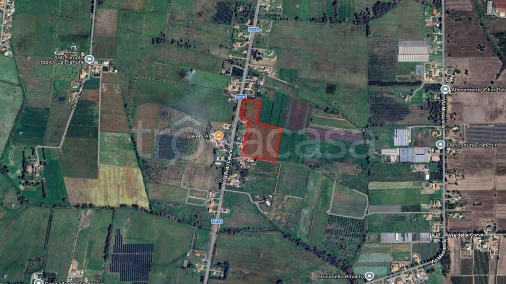 immagine annuncio 5 di 7