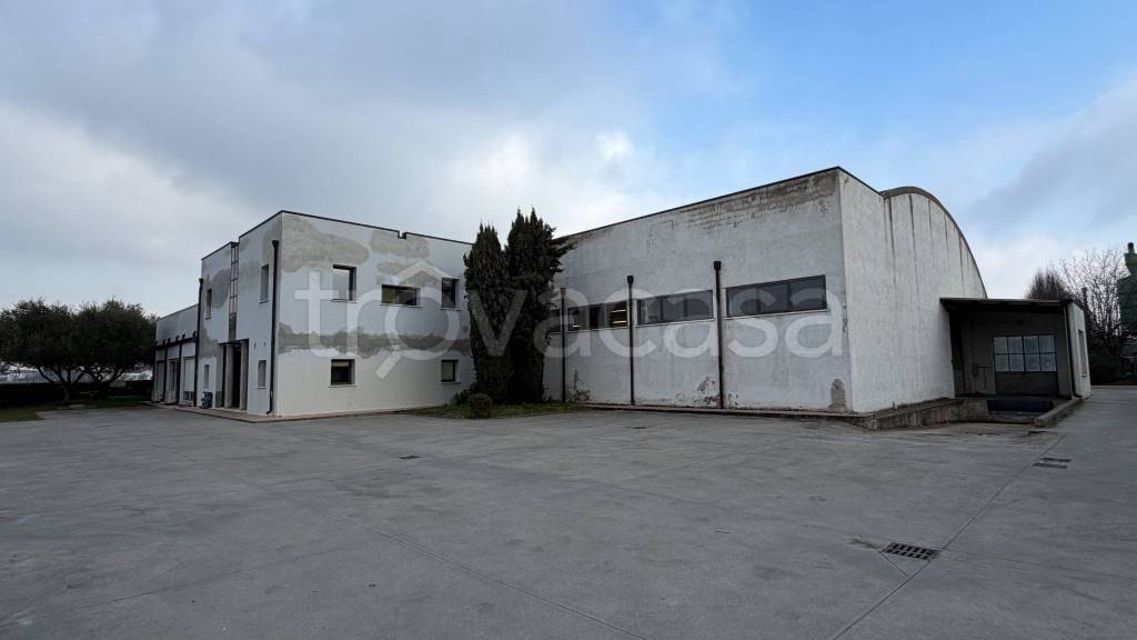 immagine annuncio 2 di 4