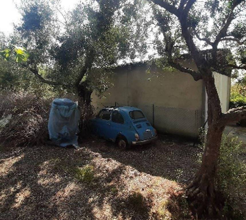 immagine annuncio 1 di 10