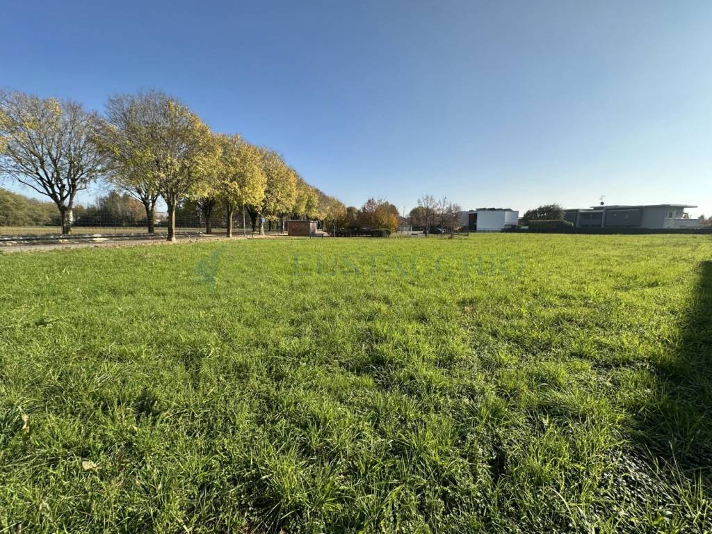 immagine annuncio 7 di 9