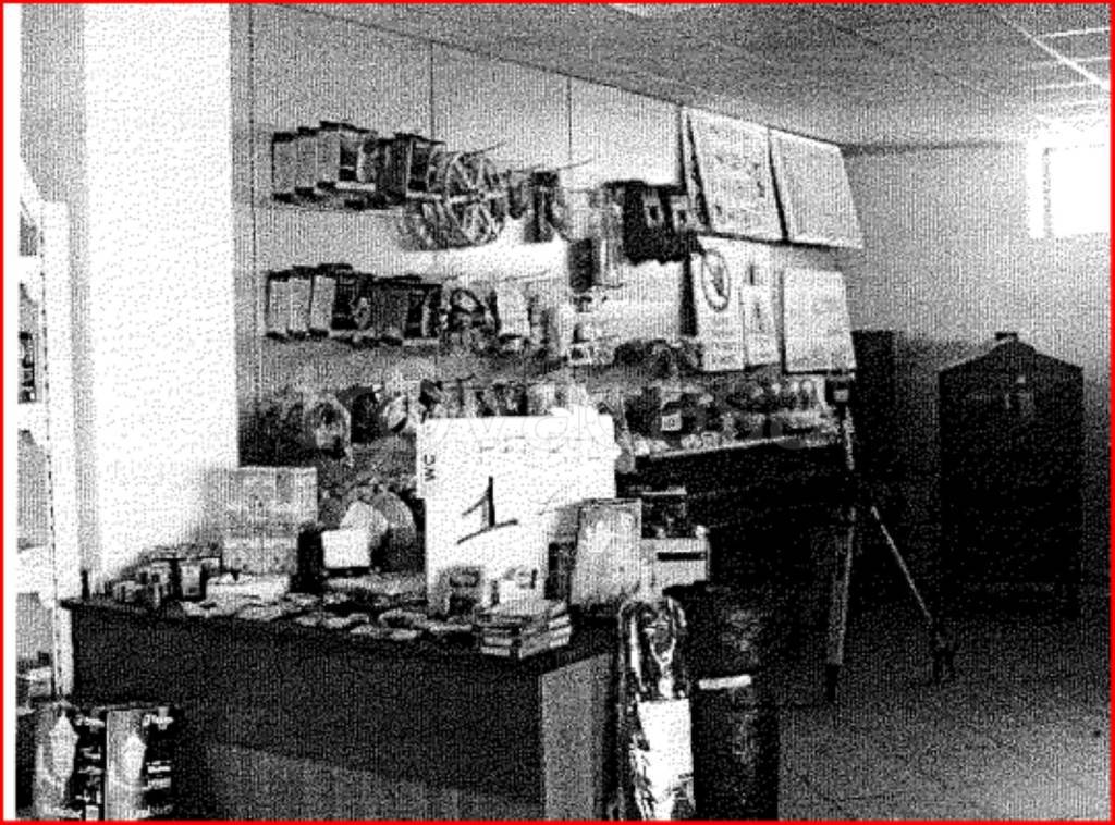 immagine annuncio 11 di 15