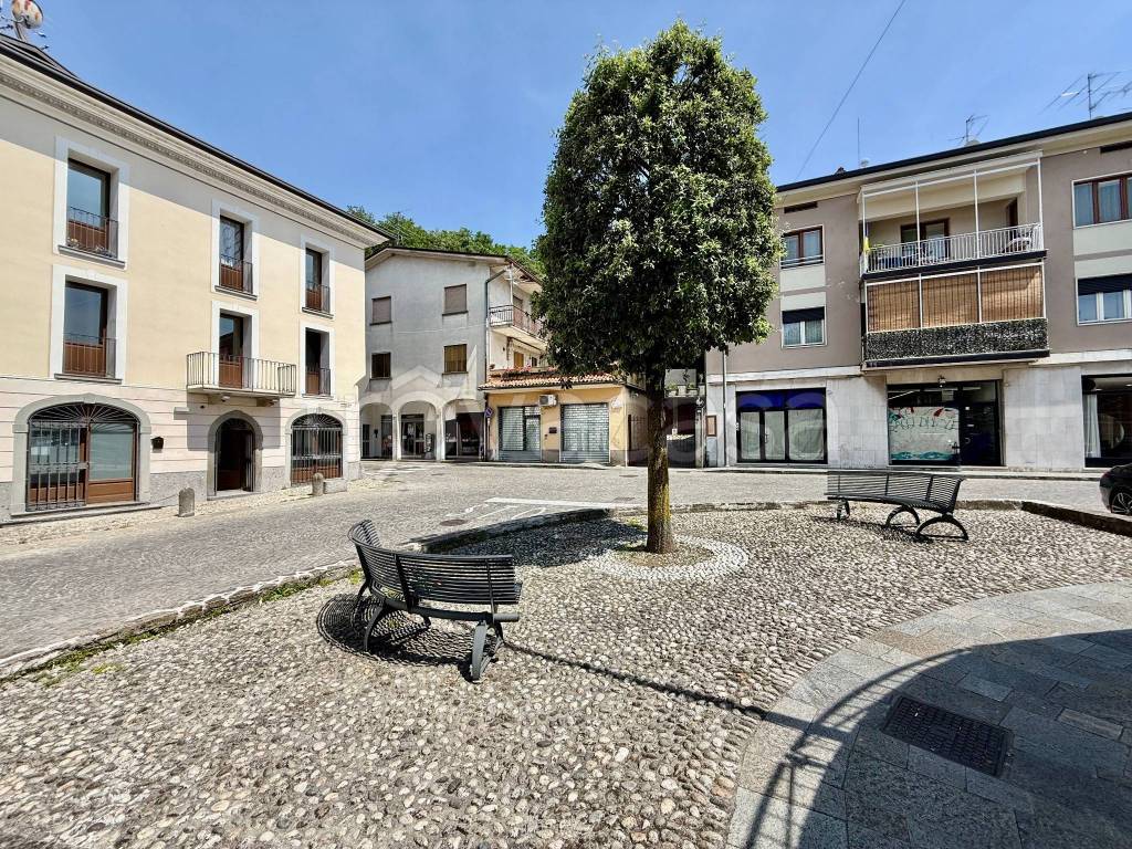 immagine annuncio 11 di 14