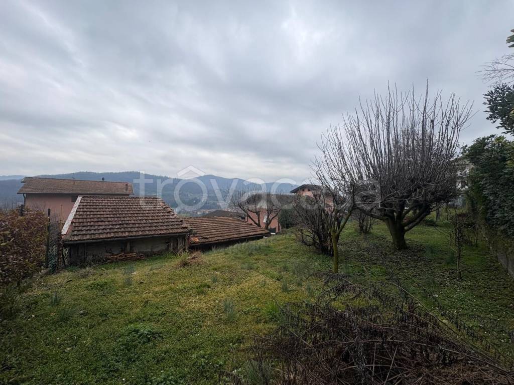 immagine annuncio 2 di 4