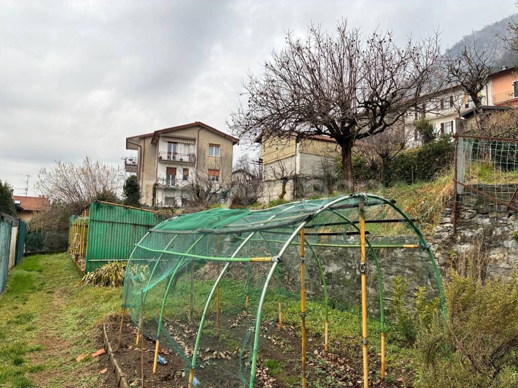 immagine annuncio 3 di 4