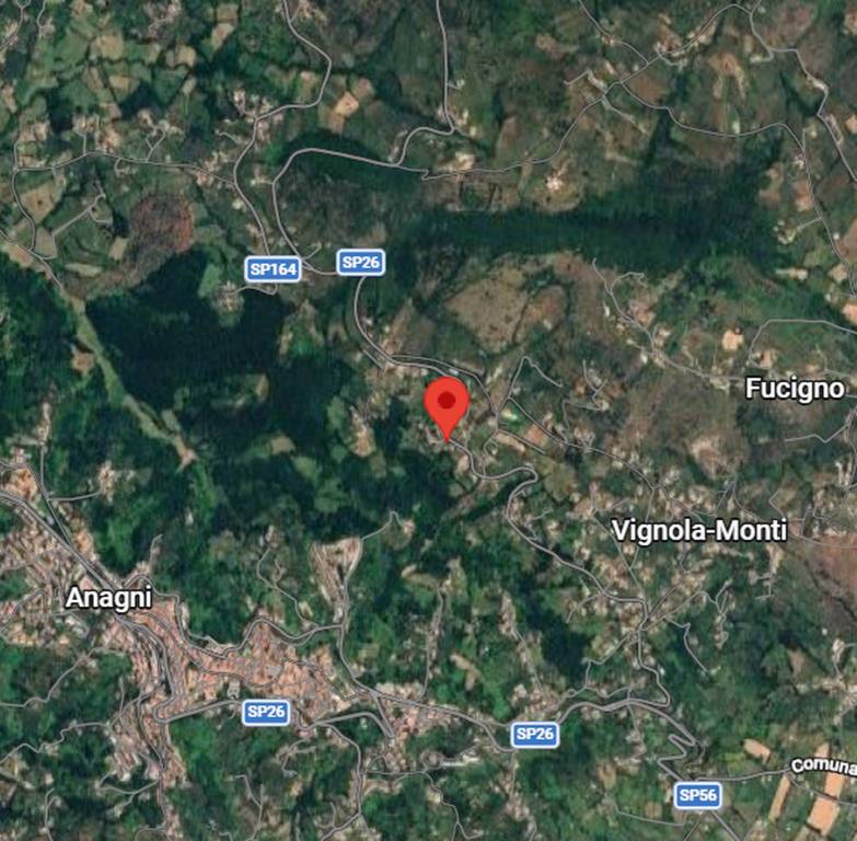 immagine annuncio 3 di 11