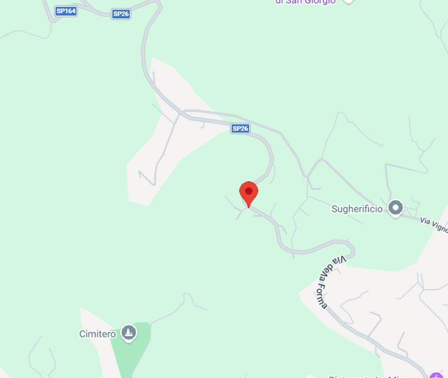 immagine annuncio 4 di 11