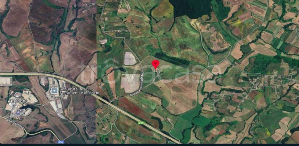 immagine annuncio 6 di 11