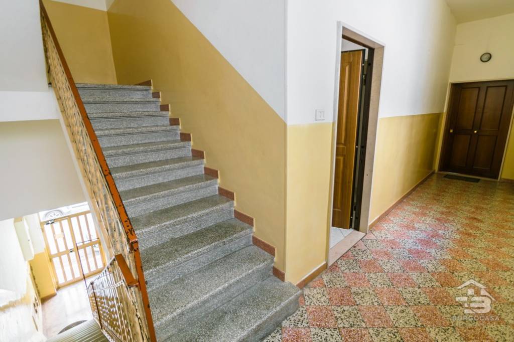 immagine annuncio 12 di 14