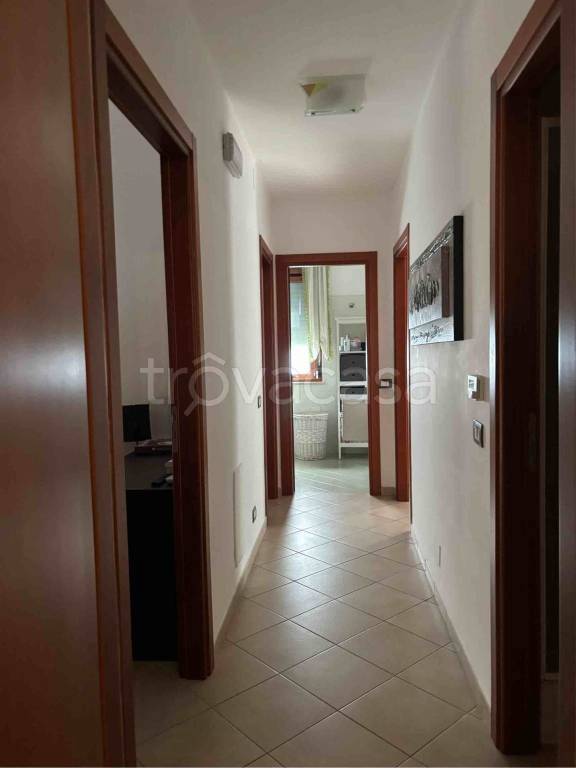 immagine annuncio 4 di 14