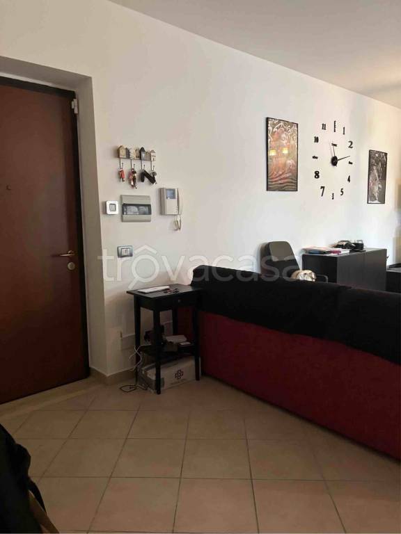 immagine annuncio 9 di 14