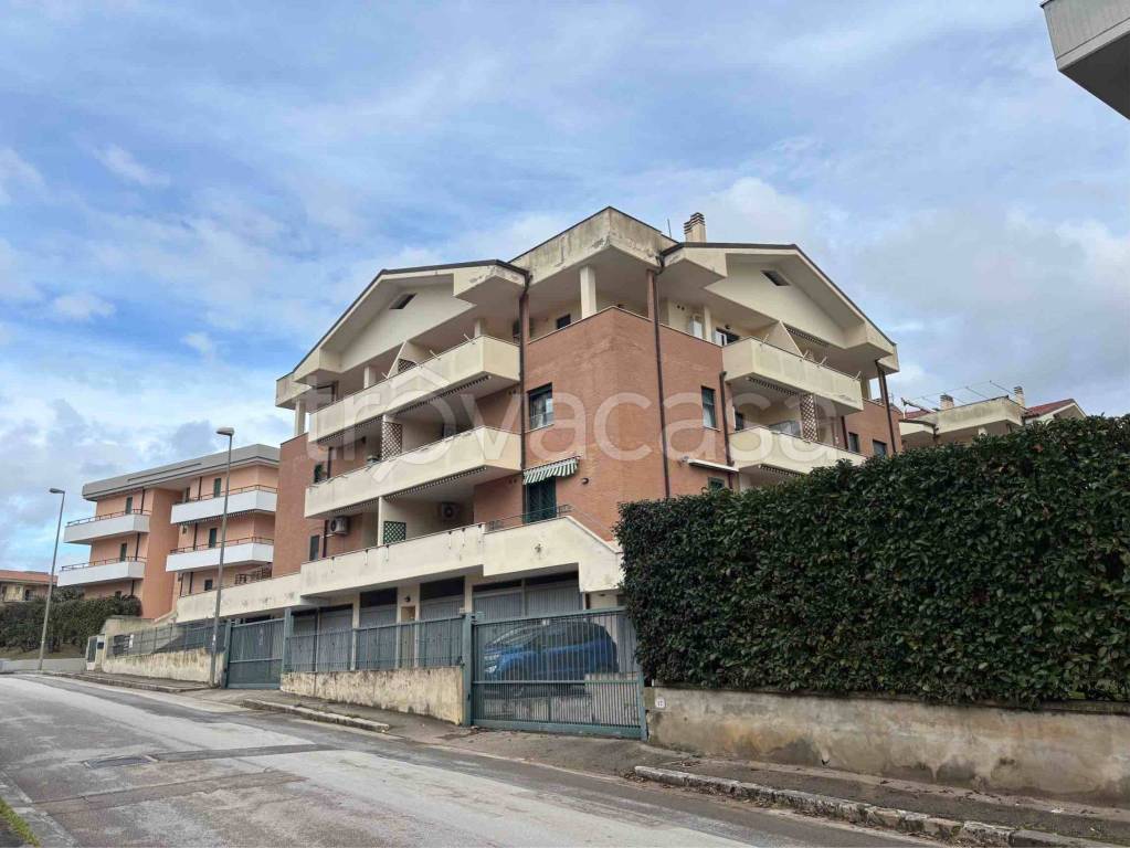 immagine annuncio 10 di 14