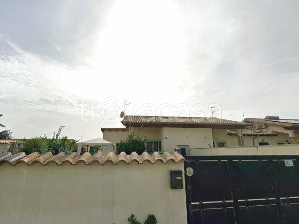 immagine annuncio 12 di 13