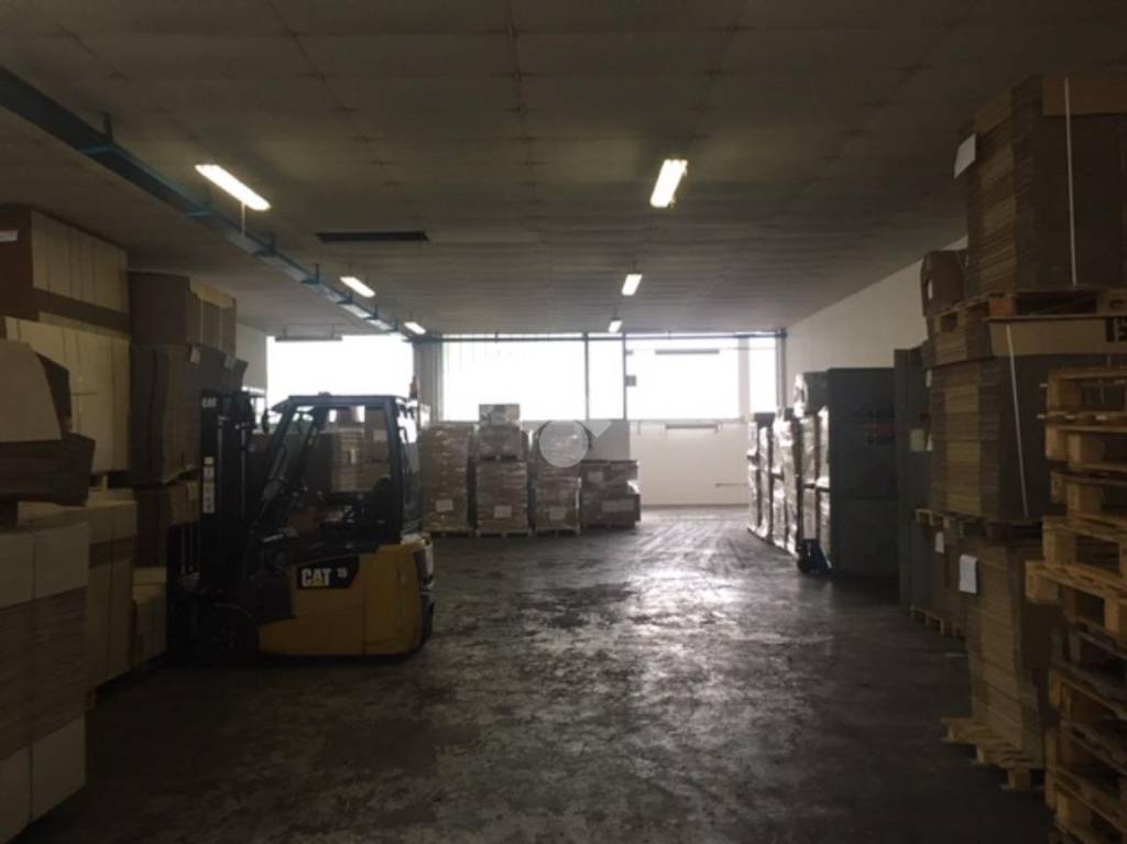 immagine annuncio 2 di 10