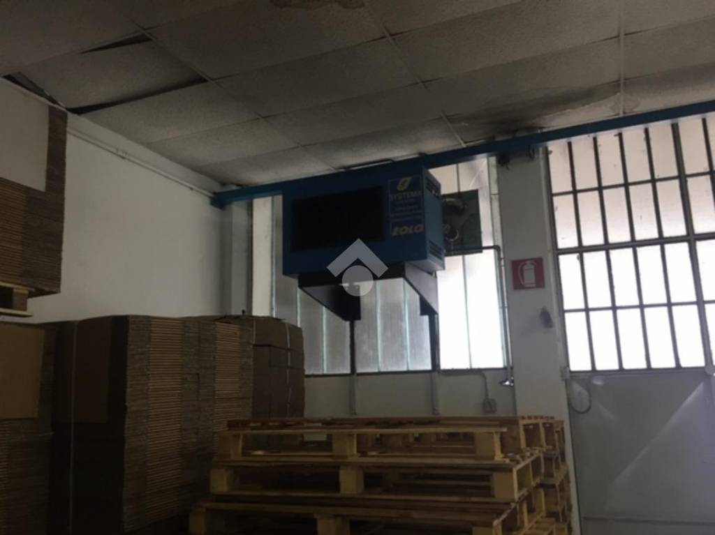 immagine annuncio 5 di 10