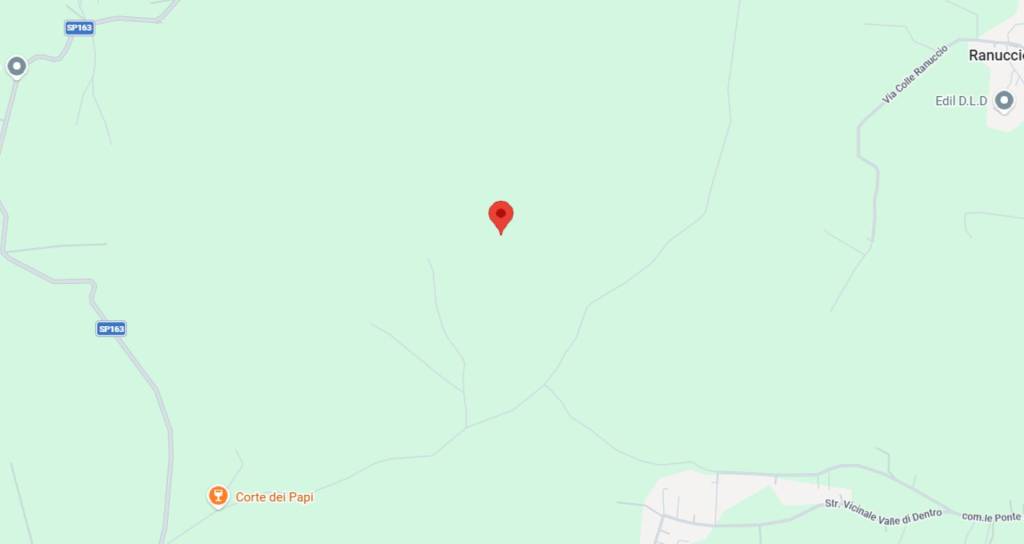 immagine annuncio 11 di 12