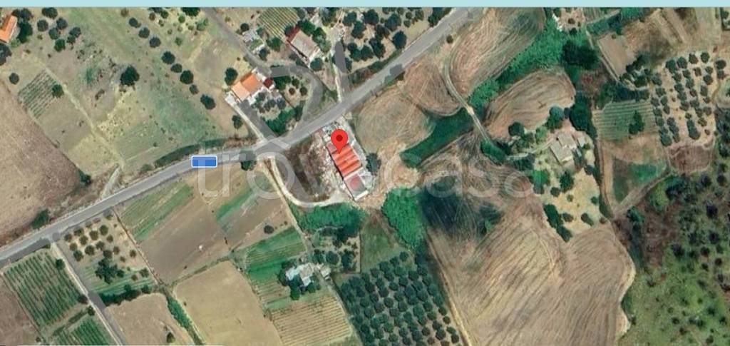 immagine annuncio 9 di 11