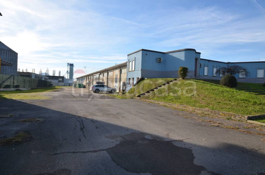 immagine annuncio 6 di 7