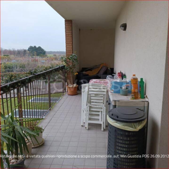 immagine annuncio 9 di 15