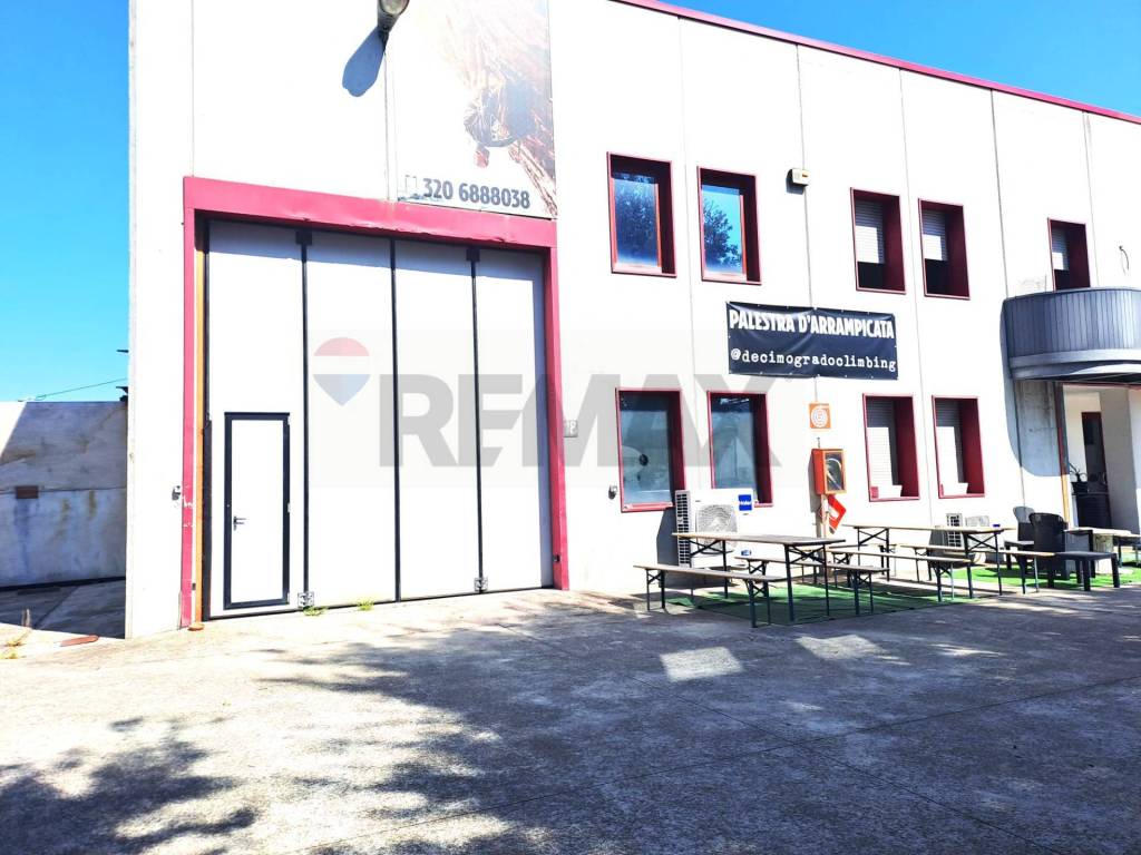 immagine annuncio 1 di 11