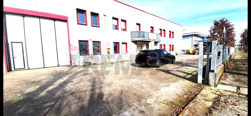 immagine annuncio 3 di 11